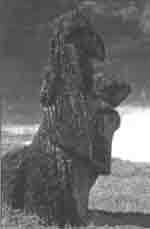 Трагическое послание древних - any2fbimgloader24.jpeg