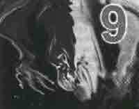 Трагическое послание древних - any2fbimgloader320.jpeg