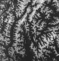 Трагическое послание древних - any2fbimgloader436.jpeg