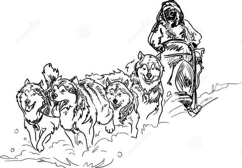 Земные ангелы (сборник) - i_002.jpg