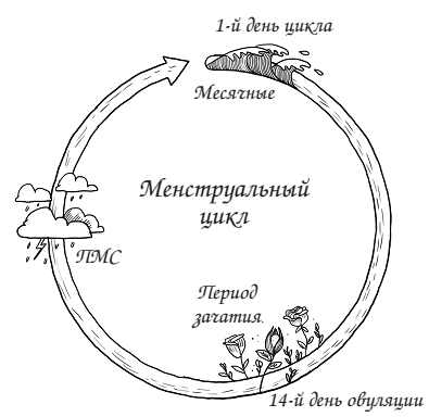 Очень женские дела. Пора покончить с многовековым табу - i_005.png