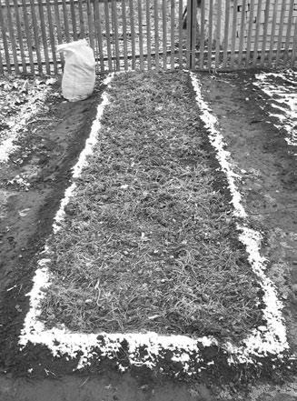 Огород. Как я выращиваю здоровые овощи - i_010.jpg