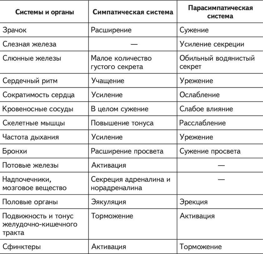 Вегетососудистая дистония. Современный взгляд на лечение и профилактику - i_001.png