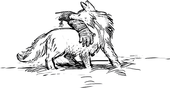 Холод. Неотвратимая гибель. Ледяная бесконечность. Студёное дыхание - i_022.png