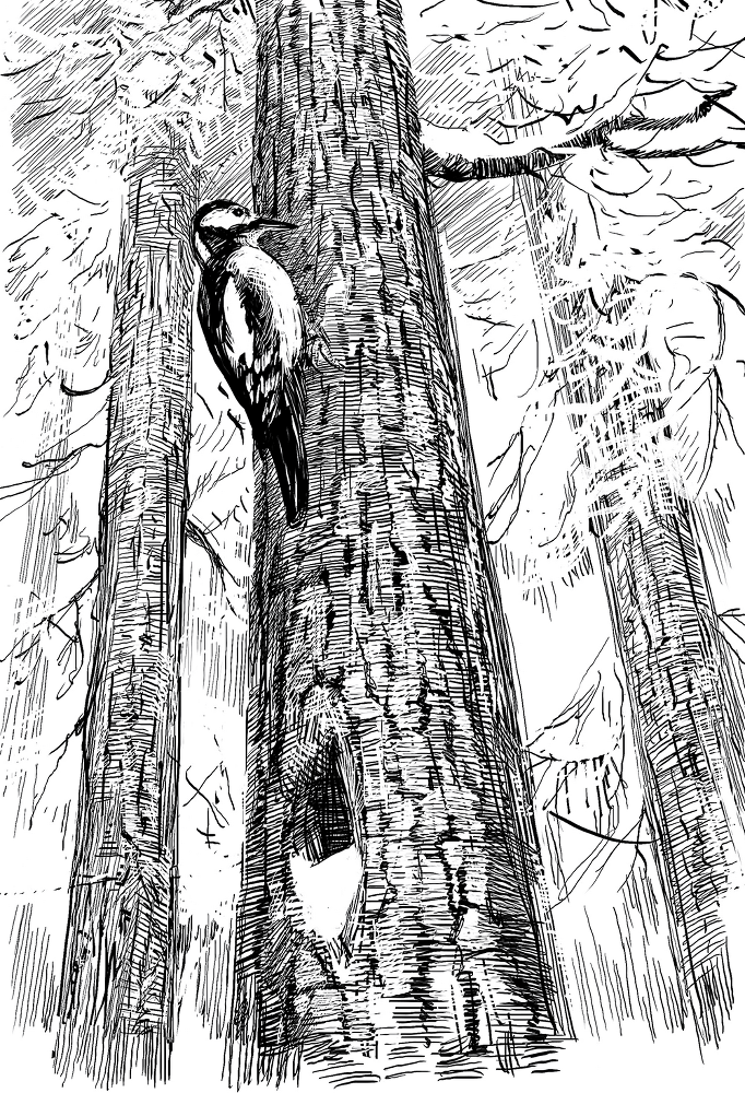 Холод. Неотвратимая гибель. Ледяная бесконечность. Студёное дыхание - i_036.png