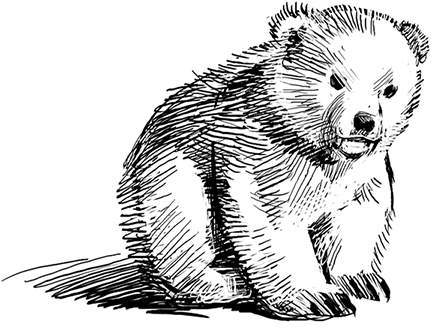 Холод. Неотвратимая гибель. Ледяная бесконечность. Студёное дыхание - i_091.png