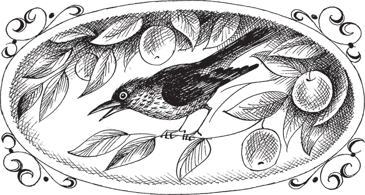 Одноглазый Дрозд - i_001.png