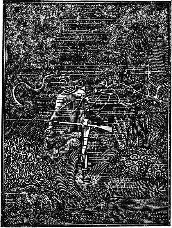 Впередсмотрящий. Повесть о великом мечтателе (Жюль Верн) - i_022.jpg