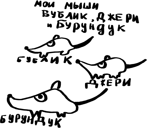 Как выжить среди принцесс - i_001.png