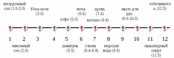 Уборка 3.0. Здания и сооружения - _20.jpg