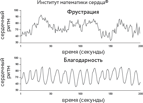 Вибрируй! Как открыть в себе энергию безграничного здоровья, любви и успеха - i_001.png