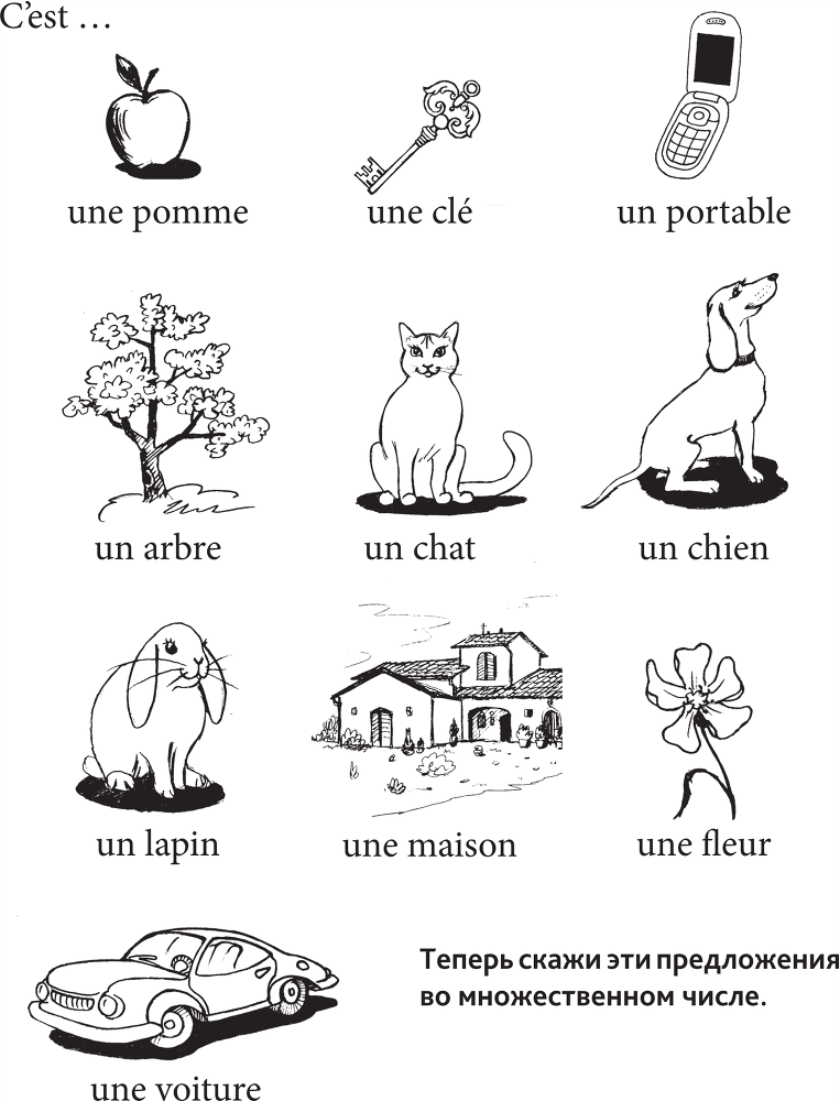 Грамматика французского языка для младшего школьного возраста. 2-3 классы - b00000100.png