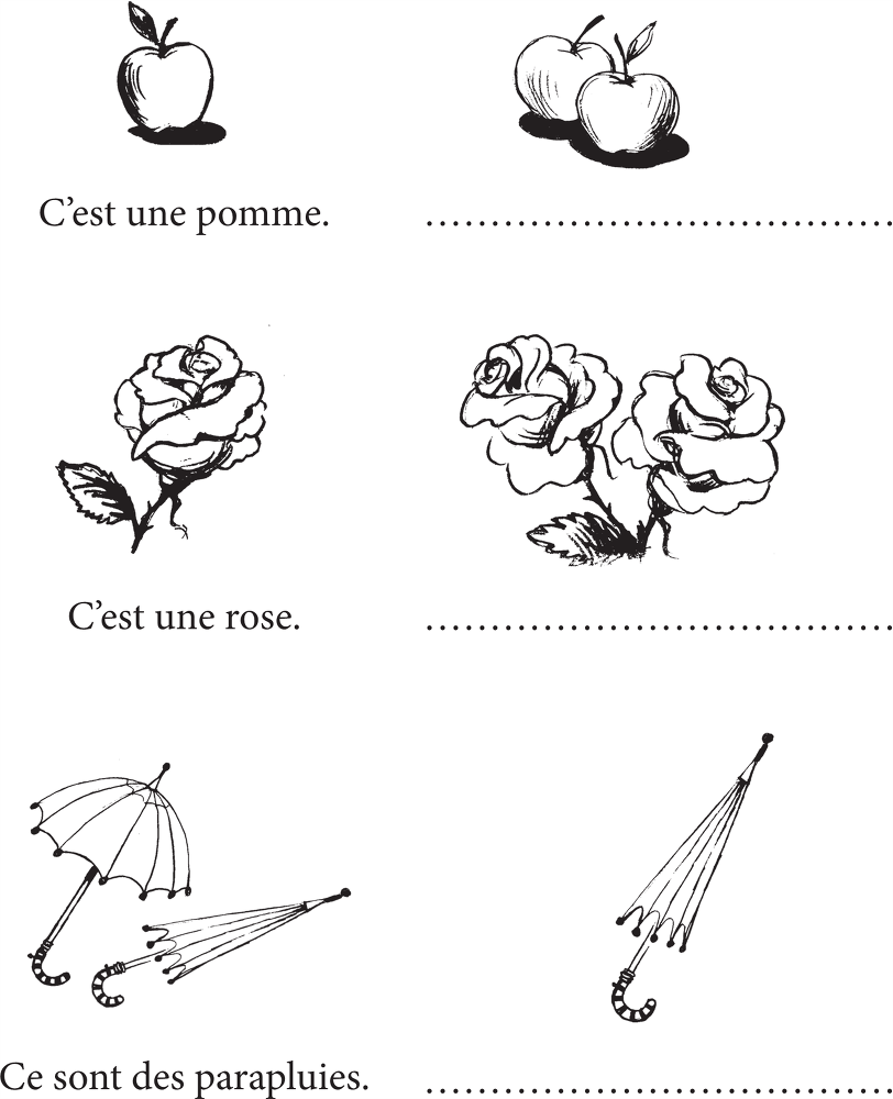 Грамматика французского языка для младшего школьного возраста. 2-3 классы - b00000102.png