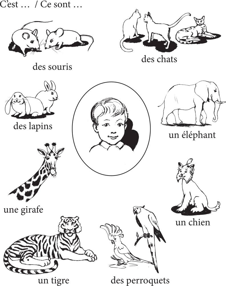 Грамматика французского языка для младшего школьного возраста. 2-3 классы - b00000106.png