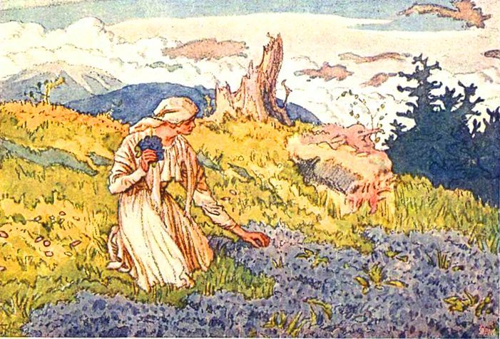 Про дванадцать місяців - BozhenaNemcova.Prodvanadcjatmisjaciv_page_0010.jpg