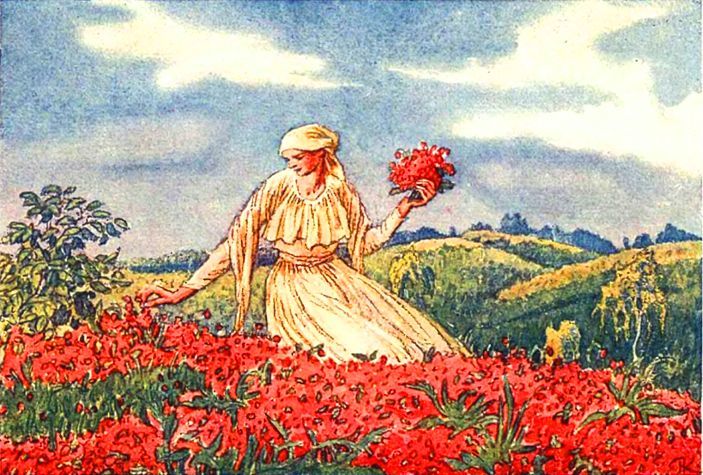 Про дванадцать місяців - BozhenaNemcova.Prodvanadcjatmisjaciv_page_0012.jpg