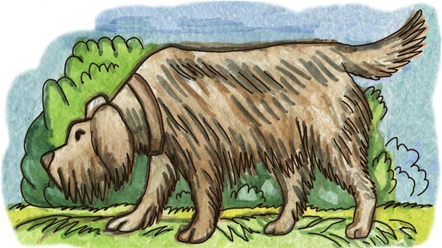 Сквозь невозможное - i_018.jpg