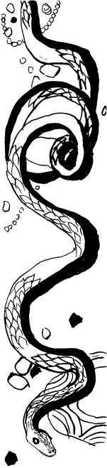 Закат Карфагена<br />(Сборник) - i_033.jpg