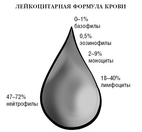 Загадки иммунитета. Как мобилизовать свою иммунную защиту и победить аллергию - i_008.jpg