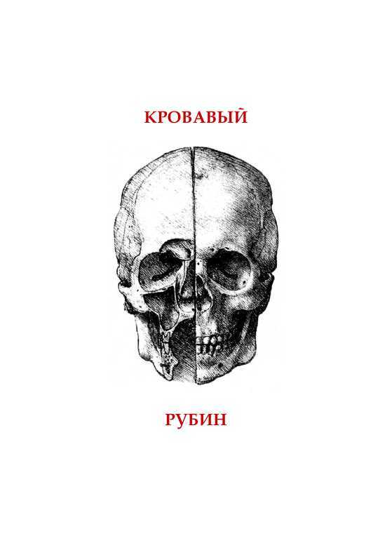 Кровавый рубин(Фантастика. Ужасы. Мистика. Том I) - i_003.jpg