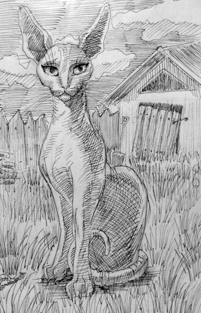 Котрус. Бесшумный Взрыв - _3.jpg