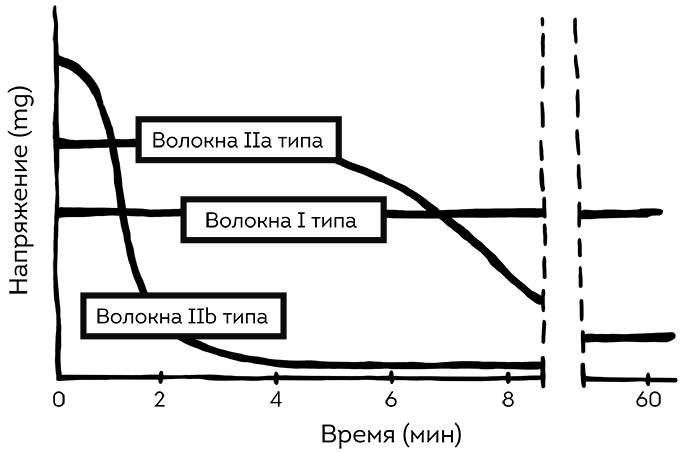 Книга ЗОЖника - i_028.jpg