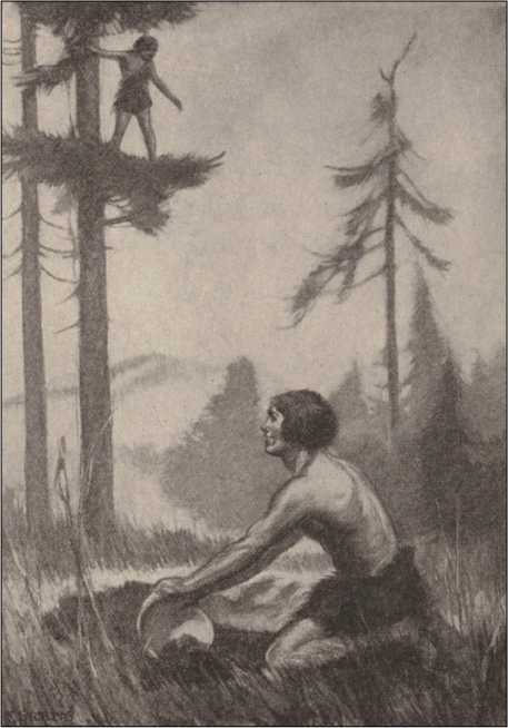 История Аба<br />(В дали времен. Том VI) - i_006.jpg