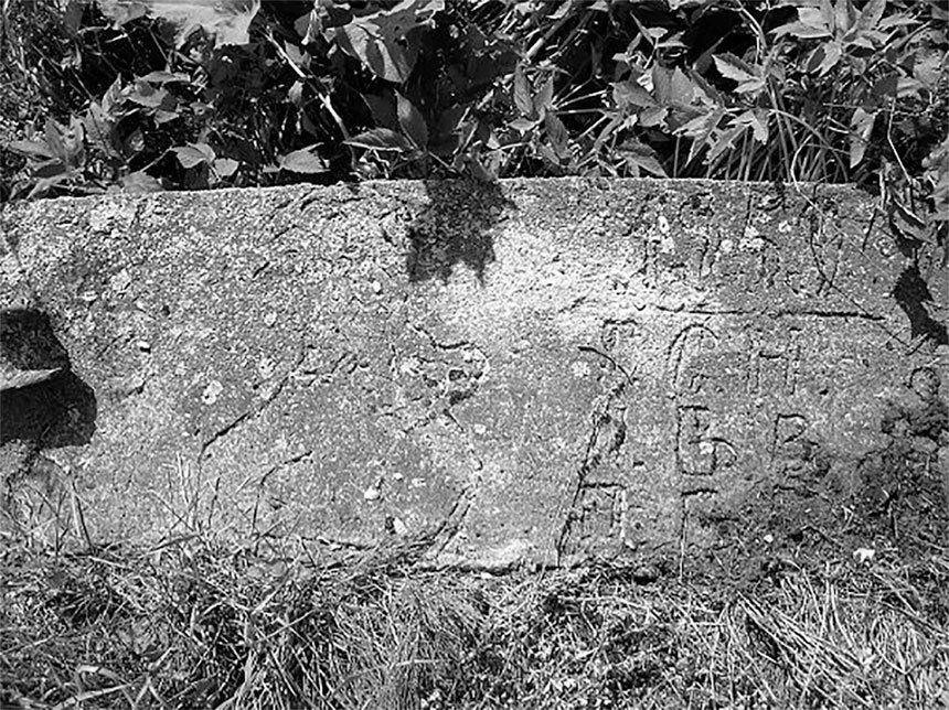 Обитатели вечной ночи - i_002.jpg