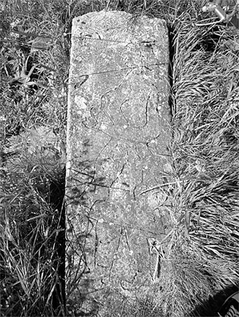 Обитатели вечной ночи - i_003.jpg