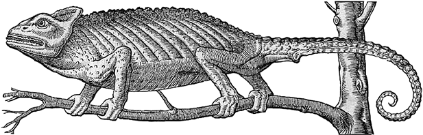 Лагуна. Как Аристотель придумал науку - i_008.png