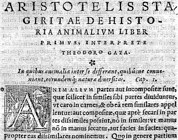 Лагуна. Как Аристотель придумал науку - i_020.png