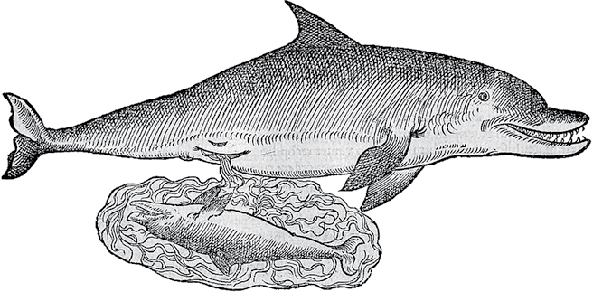 Лагуна. Как Аристотель придумал науку - i_026.png