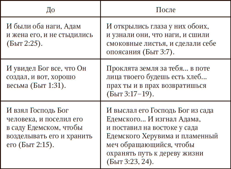 Седьмой день. Утраченное сокровище Библии - i_001.jpg