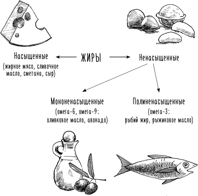 Из пухляшки в стройняшку. Спецагенты по правильному питанию. Научим есть всё, худеть и быть лучше, чем вчера - i_007.png