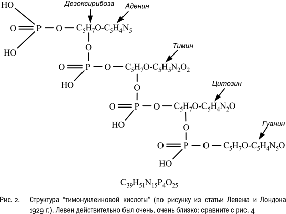 ДНК и её человек - i_003.png