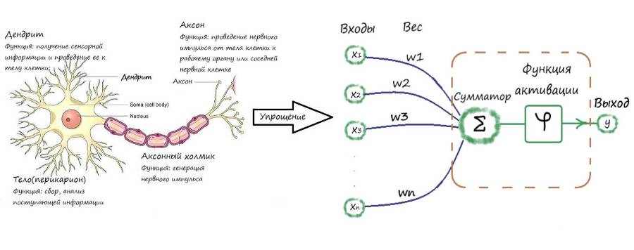 Нейронные сети. Эволюция - _3.jpg