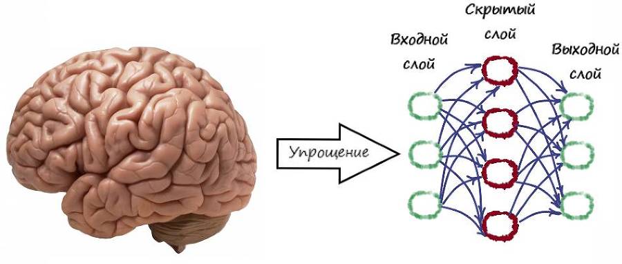 Нейронные сети. Эволюция - _4.jpg