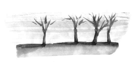 Глубина моря; Открытое море - i_002.jpg