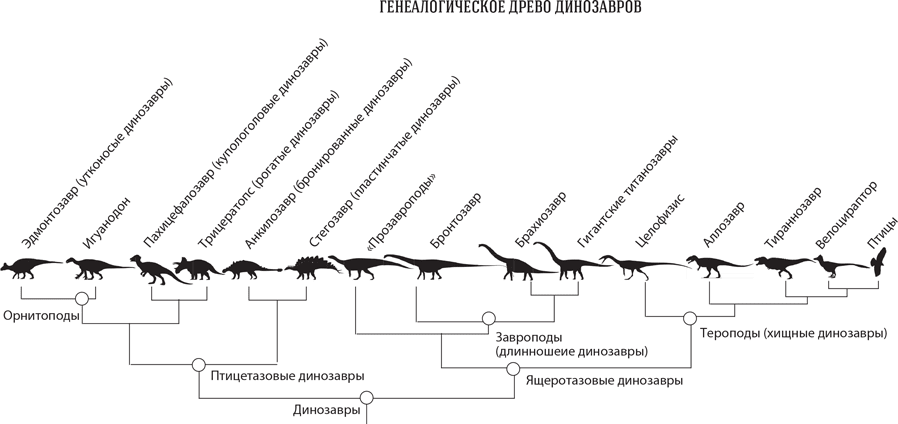 Время динозавров - i_003.png