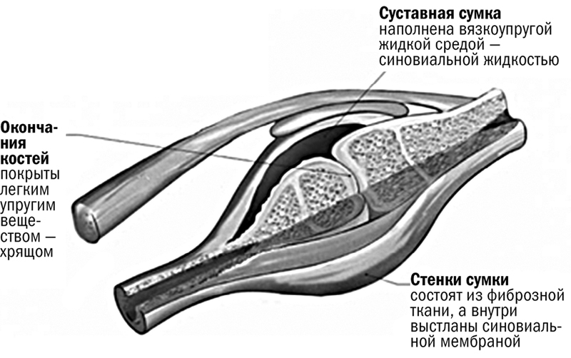 Помоги себе сам. Очищаем суставы - i_002.jpg