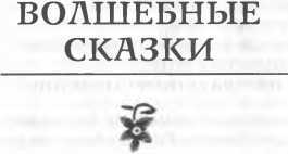 Еврейские народные сказки<br />(Предания, былички, рассказы, анекдоты, собранные Е.С. Райзе) - i_002.jpg