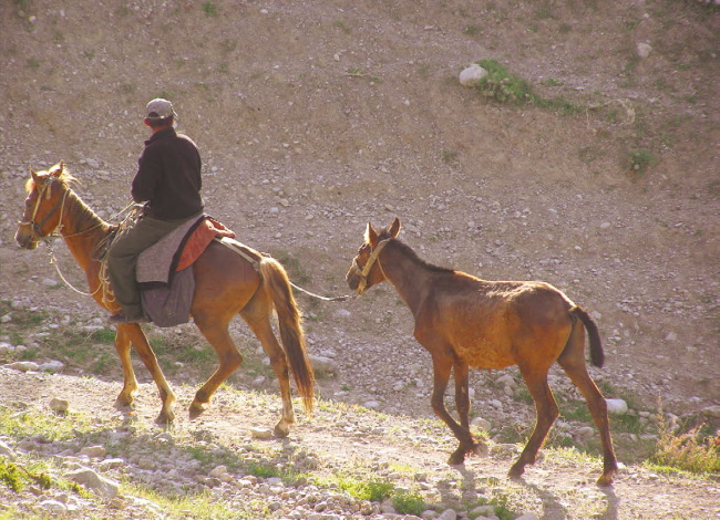 Неизвестный Кыргызстан. Путешествие в параллельный мир - i_007.jpg