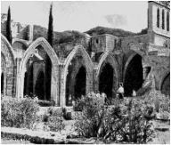 Остров святого православия. Русские паломники на Кипре в XII-XX веках - i_006.jpg