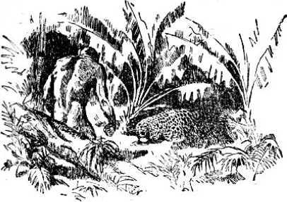 Охотники каменного века(В дали времен. Т. VII ) - i_010.jpg