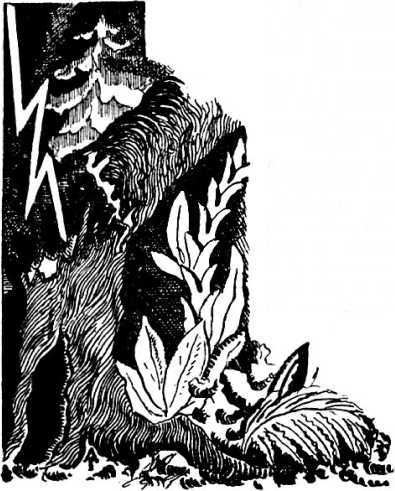 Человек идет!<br />(В дали времен. Т. VIII) - i_023.jpg