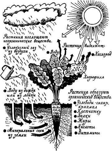 Два шага до чуда<br />(Очерки) - i_035.jpg