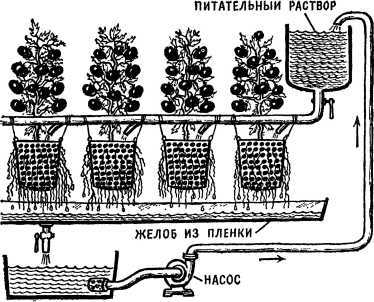 Два шага до чуда<br />(Очерки) - i_040.jpg