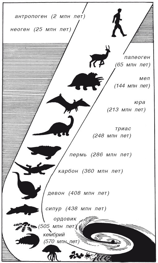 Краткая история динозавров - i_005.jpg