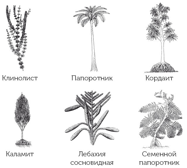 Краткая история динозавров - i_016.jpg