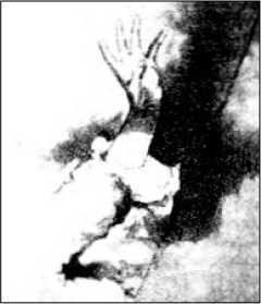 Тайна трех смертей<br />(Избранные сочинения. Том I ) - i_038.jpg